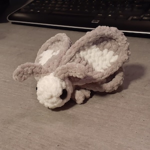 Niall added a photo of their purchase