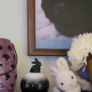 Mikken added a photo of their purchase