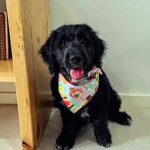 Mandy added a photo of their purchase