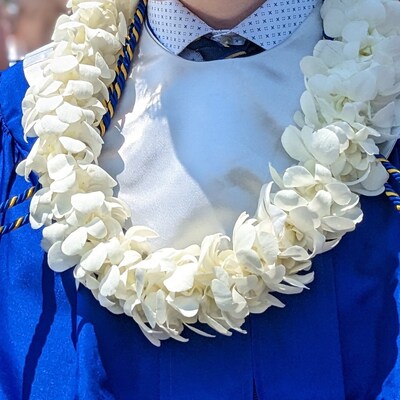 Maile Ti Leaf Lei Hawaiian Lei Graduation Lei - Etsy