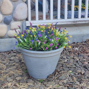 Anne added a photo of their purchase