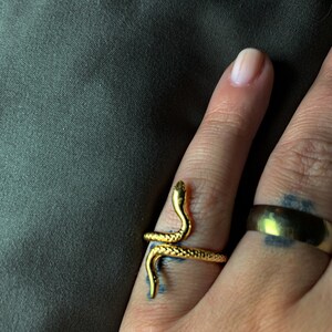 laura added a photo of their purchase