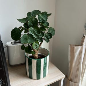 Sofia added a photo of their purchase