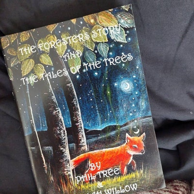 Northern Lights Greetings Card By Hannah Willow Hare In A