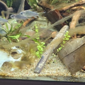 Joyce added a photo of their purchase