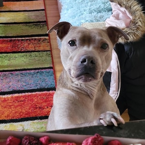 Deborah added a photo of their purchase