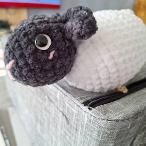 Lizzie added a photo of their purchase