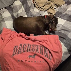 Kelly added a photo of their purchase