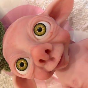 浅見久美 added a photo of their purchase