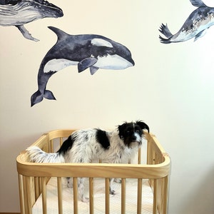 S added a photo of their purchase
