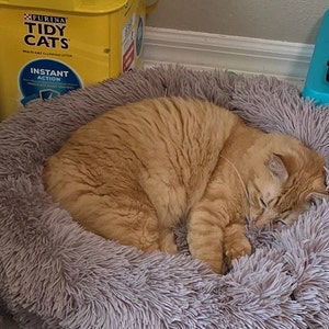 Cylee hat ein Foto des gekauften Artikels hinzugefügt