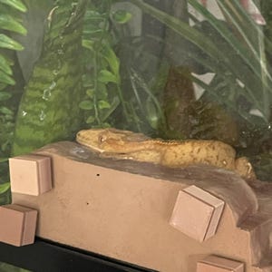 Sydney added a photo of their purchase
