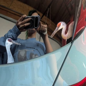 Olivia added a photo of their purchase