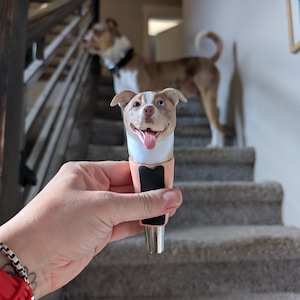 Evelyn added a photo of their purchase