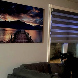 Janelle added a photo of their purchase
