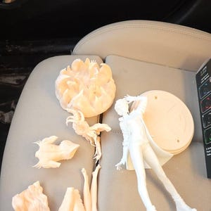 Lucía added a photo of their purchase
