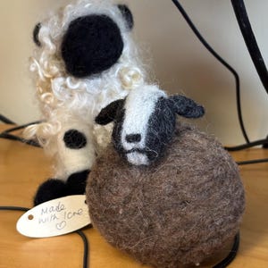 Mini Blacknose Valais,gogo Lamb, Forever Flock, Sheep Friendly