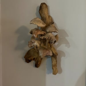 Kimberly added a photo of their purchase