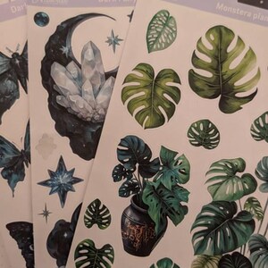 Annekatrin added a photo of their purchase