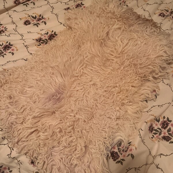 Pony Calfskin Hair on Hide, Real Natural Cowhide Throw Rug, Luxury ...