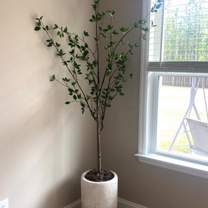 Pamela added a photo of their purchase