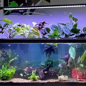Kevin added a photo of their purchase