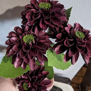 Danya added a photo of their purchase