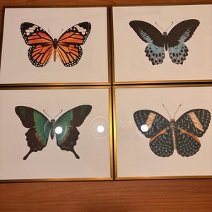 Comprador de Etsy ha añadido una foto de su compra