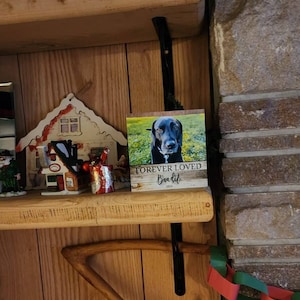 Sean added a photo of their purchase