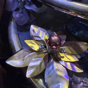 Valerie added a photo of their purchase