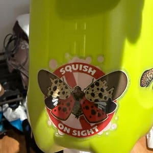 Lillian added a photo of their purchase