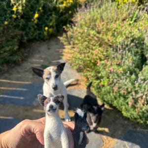 Melissa added a photo of their purchase