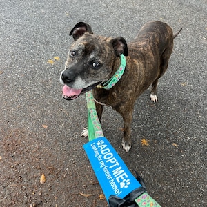 Willow added a photo of their purchase