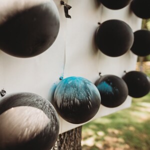 100g Paket Von Geschlecht Offenbaren Premium Holi Farbe Pulver Etsy