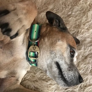 Lily added a photo of their purchase