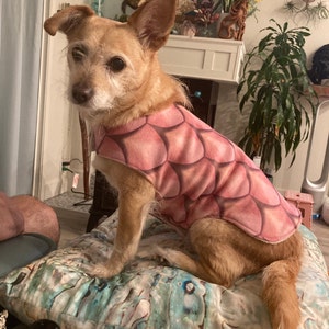 Jill added a photo of their purchase