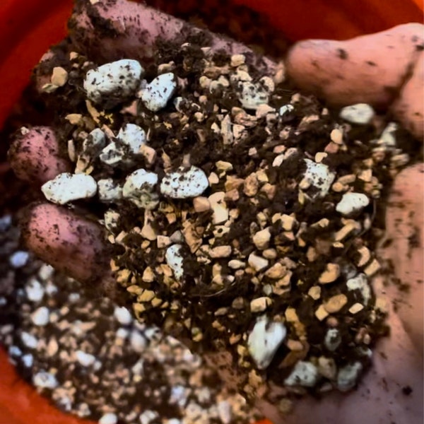 Bonsai Soil Horticultural Pumice | Premium Grade Grit For Plants