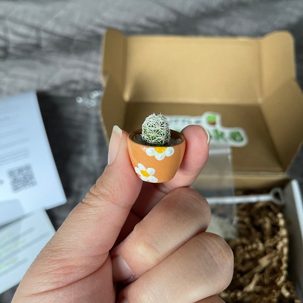 LITTLE PRICKS Miniature Cactus (light Brown) - DIY Cactus Kits, Hand ...