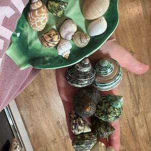 Meghan added a photo of their purchase