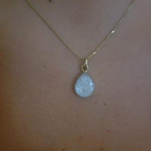 Kelly added a photo of their purchase