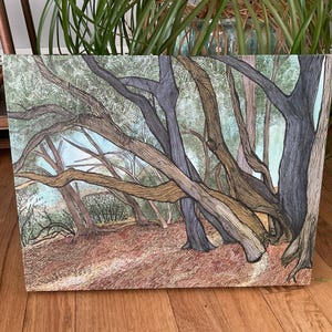 Teaks added a photo of their purchase