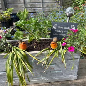 Rowena added a photo of their purchase