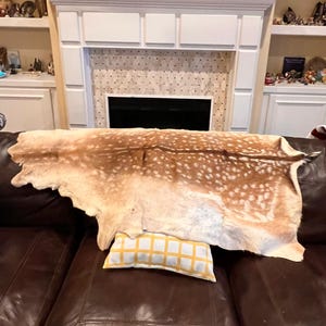 Jyothi added a photo of their purchase