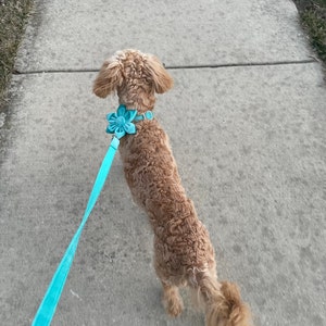 Michelle added a photo of their purchase