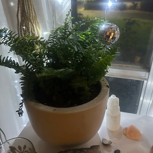 Katy added a photo of their purchase