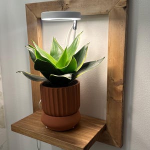 Kaitlin added a photo of their purchase