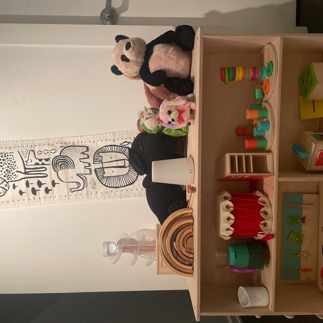 STELLA- Toy Shelf + Hidden Storage– Bush Acres