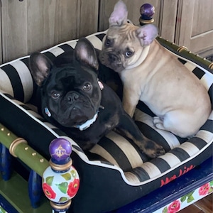 Debbie added a photo of their purchase