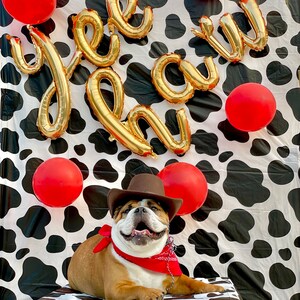 Yee Haw Balloons Yee Haw Banner First Rodeo Birthday Etsy 日本 Yee Haw Balloons Yee Haw Banner First Rodeo Birthday Etsy 日本