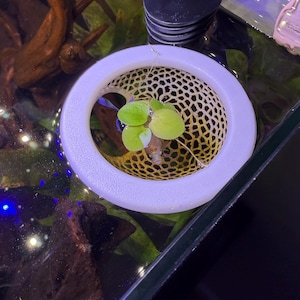 Sarah added a photo of their purchase